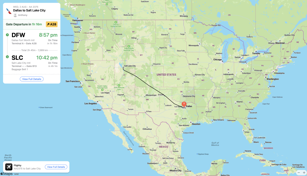 The live flight tracker within the Flighty App